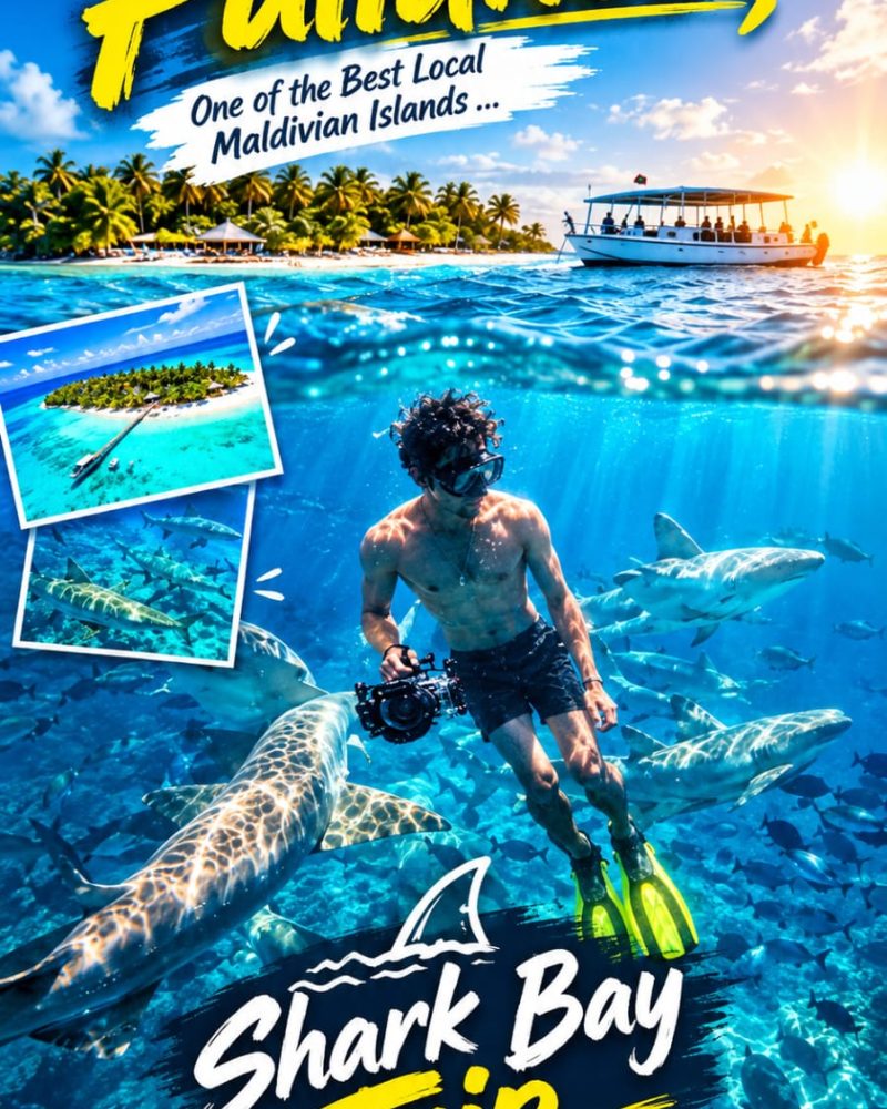 Travel Expriece Explain Reels